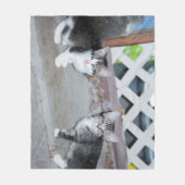 子猫 フリースブランケット (正面)