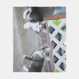 子猫 フリースブランケット