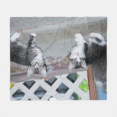 子猫 フリースブランケット (正面(横))