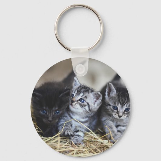 子猫,ペット,猫科の動物 キーホルダー (正面)