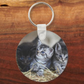 子猫,ペット,猫科の動物 キーホルダー (裏面)