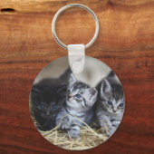 子猫,ペット,猫科の動物 キーホルダー (正面)