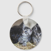 子猫,ペット,猫科の動物 キーホルダー (裏面)