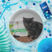 子猫 ペーパープレート (パーティー)