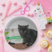 子猫 ペーパープレート (パーティー)
