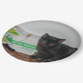 子猫 ペーパープレート (アングル)