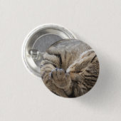 子猫 – ボタン 缶バッジ (正面&裏面)