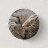 子猫 – ボタン 缶バッジ (正面)