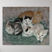 子猫 ポスター (正面)
