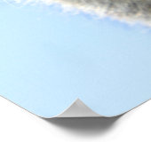 子猫 ポスター (角)