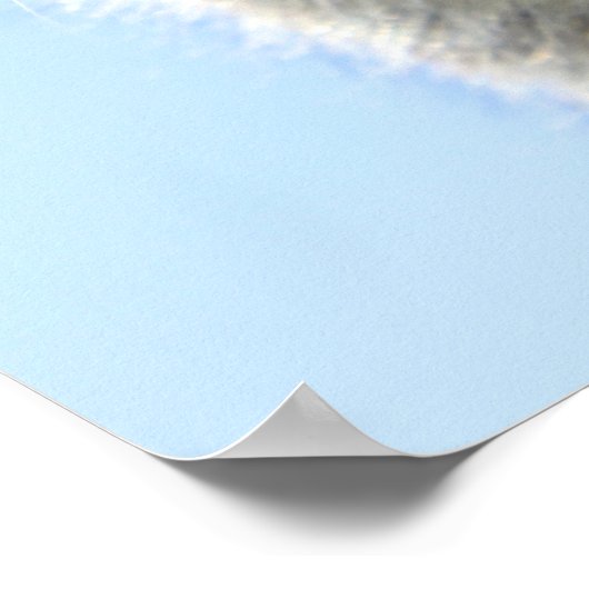 子猫 ポスター (角)