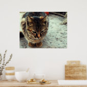 子猫 ポスター (キッチン)