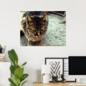 子猫 ポスター (ホームオフィス)