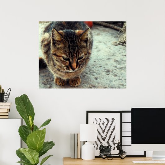 子猫 ポスター (ホームオフィス)
