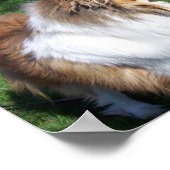 子猫 ポスター (角)