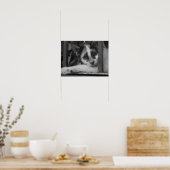 子猫 ポスター (キッチン)