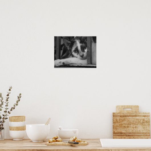 子猫 ポスター (キッチン)