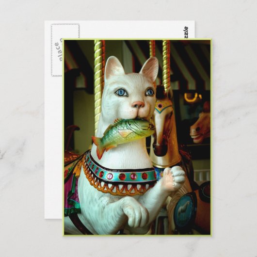 子猫 ポストカード (正面/裏面)