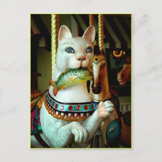 子猫 ポストカード (正面)