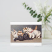 子猫 ポストカード (スタンド正面)