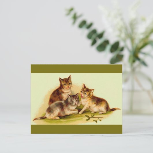 子猫 ポストカード (スタンド正面)