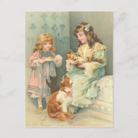 子猫 ポストカード (正面)