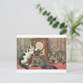 子猫 ポストカード (スタンド正面)