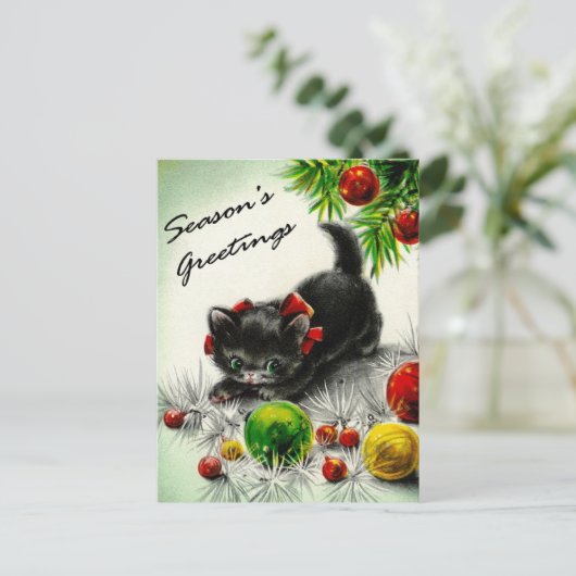 子猫 ポストカード (スタンド正面)