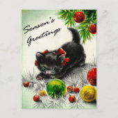 子猫 ポストカード (正面)