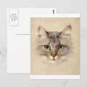 子猫 ポストカード (正面/裏面)