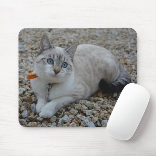 子猫 マウスパッド (マウス)