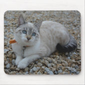 子猫 マウスパッド (正面)