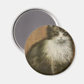 子猫 マグネット (正面/裏面)
