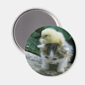 子猫 マグネット (正面/裏面)