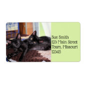 子猫 ラベル (正面)