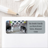 子猫 ラベル (インサイチュ)