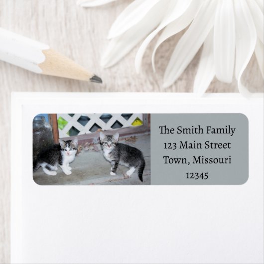 子猫 ラベル (インサイチュ)