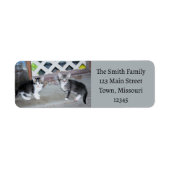 子猫 ラベル (正面)