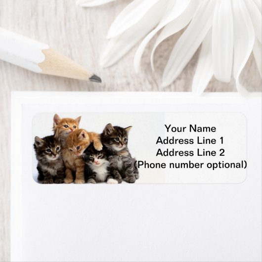 子猫 ラベル (インサイチュ)