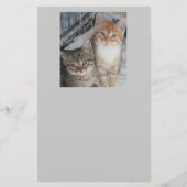 子猫 便箋 (正面)