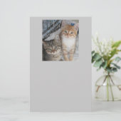 子猫 便箋 (スタンド正面)