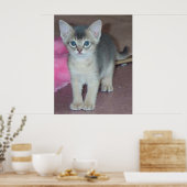 子猫 六週 ポスター (キッチン)