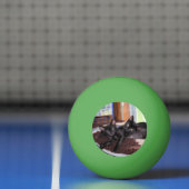 子猫 卓球ボール (ネット)