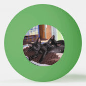 子猫 卓球ボール (裏面)