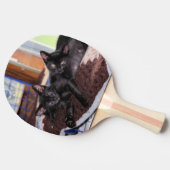 子猫 卓球ラケット (横)