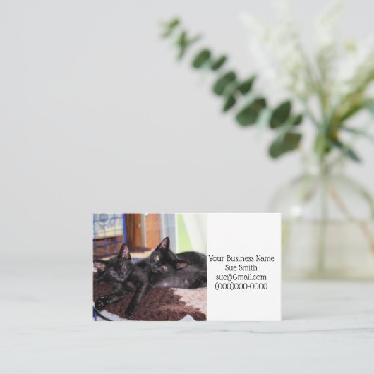 子猫 名刺 (スタンド正面)