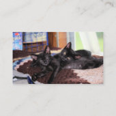 子猫 名刺 (裏面)