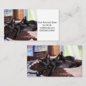 子猫 名刺 (正面/裏面)