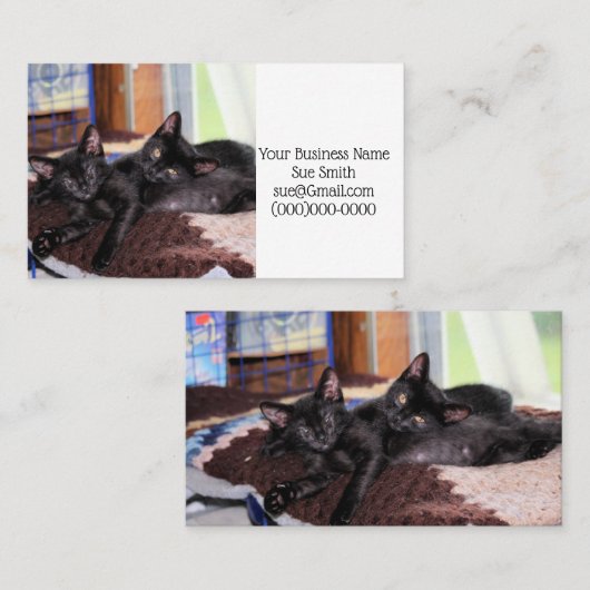 子猫 名刺 (正面/裏面)