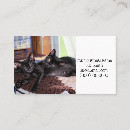 子猫 名刺 (正面)